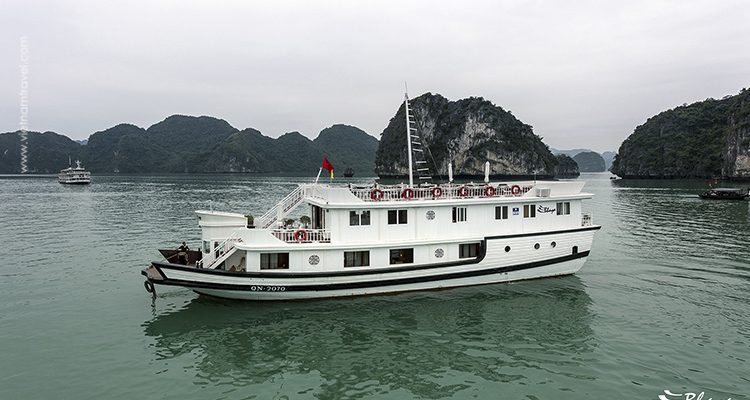 Bhaya-Cruise-5