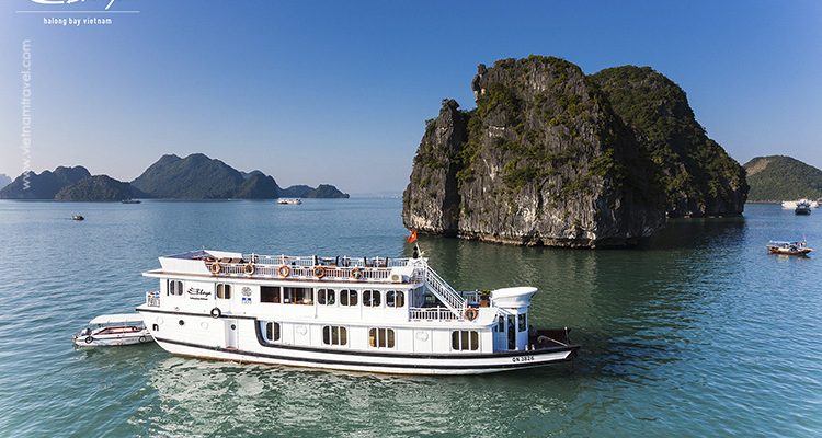 Bhaya-Cruise-8