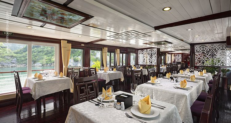 Paloma-Cruise-1