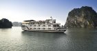 Paloma-Cruise-14