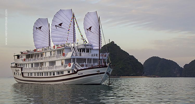 Signature-Royal-Cruise-5