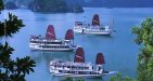 Swan-Cruise-5