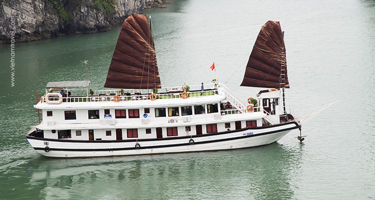 Swan-Cruise-6
