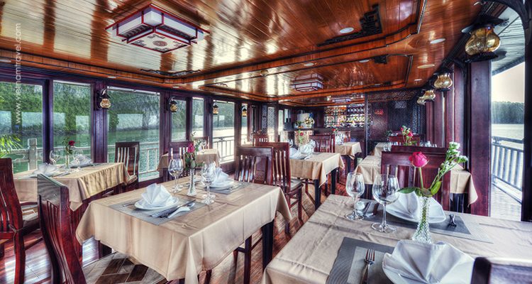 Swan-Cruise-7