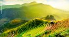 Vietnam-YenBai-Mucangchai-1