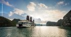 Orchid-Cruise-3