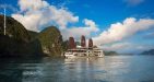 Orchid-Cruise-4