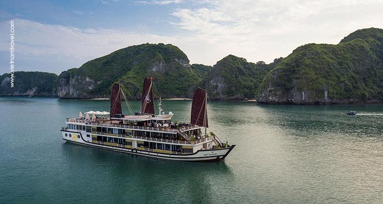 Orchid-Cruise-9
