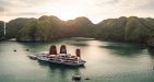 Orchid-Cruise-10