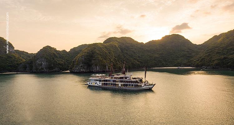 Orchid-Cruise-11