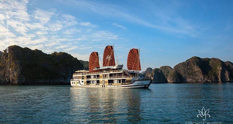 Orchid-Cruise-12