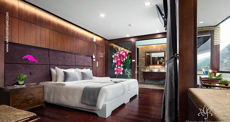 Orchid-Cruise-135
