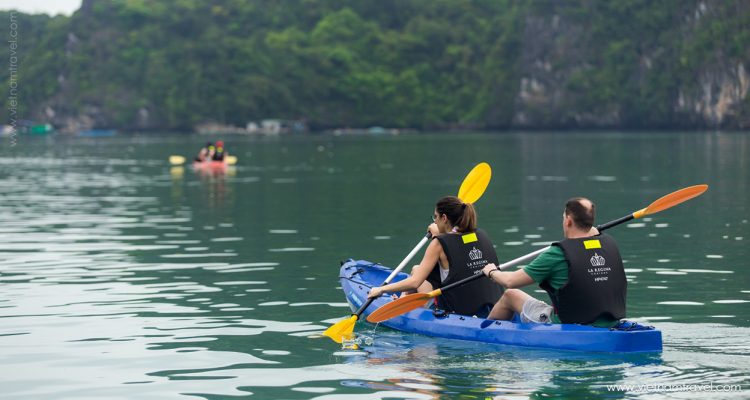 Activities (7)
