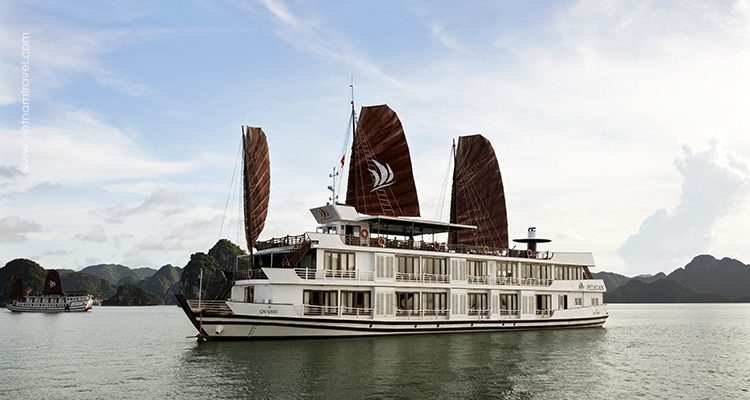 Pelican-Cruise-7
