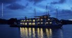 Pelican-Cruise-8