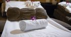 Peony-Cruise-14