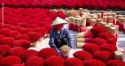 Lang-huong-3