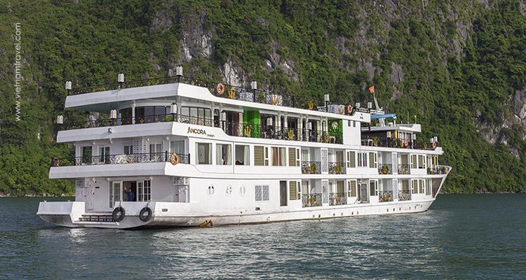 Ancora-Cruise-1