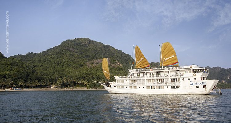 Aphrodite-Cruise-1