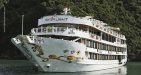 Starlight-Cruise-5