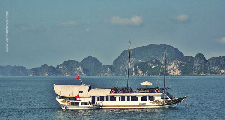 Valentine-Cruise-10