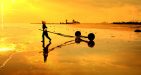 Binh-Thuan-4