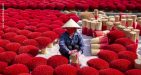 Visiting-traditional-Craft-villages-Cua-Dai,-Hanoi