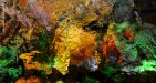 Vietnam-Halong-Sung-Sot-Cave-3