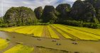 Vietnam-Ninh-Binh-Tam-coc-Bich-dong-3
