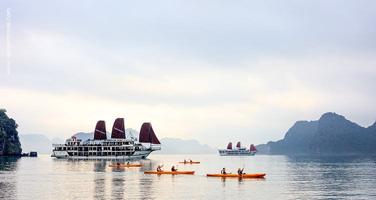 vspirit-premier-cruise-Activities---4
