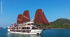 vspirit-premier-cruise-Overview---4