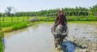 Hoi-An-Eco-7