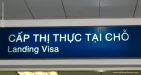 Vienam visa
