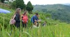 Tours starting from Ho Chi Minh City