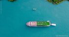 Halong-1