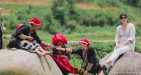 Sapa