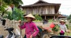 https://vietnamtravel.com/