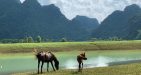 https://vietnamtravel.com/