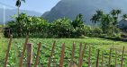 South-Africa-travel-vietnam-1