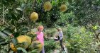 South-Africa-travel-vietnam-6