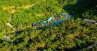 intercontinental-danang-sun-peninsular-(top-resorts-in-vietnam)