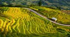 Y-ti-lao-Cai-Vietnam