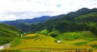 Mu-Cang-Chai-Vietnam2