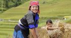Mu-Cang-Chai-Vietnam8