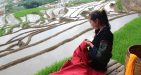 Rice-Terrace-in-Sapa-1