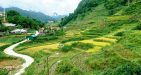 Terrace-in-Sapa-3