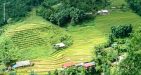 Terrace-in-Sapa-4