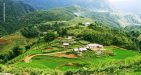 Terrace-in-Sapa-10