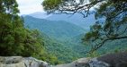 bach-ma-mountain-hue-1