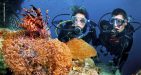 Phu-Quoc-Island-Kien-Giang-2